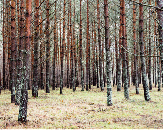Bendraujanant Nudistų Aplinkoje: Kaip Elgtis su Kitais?